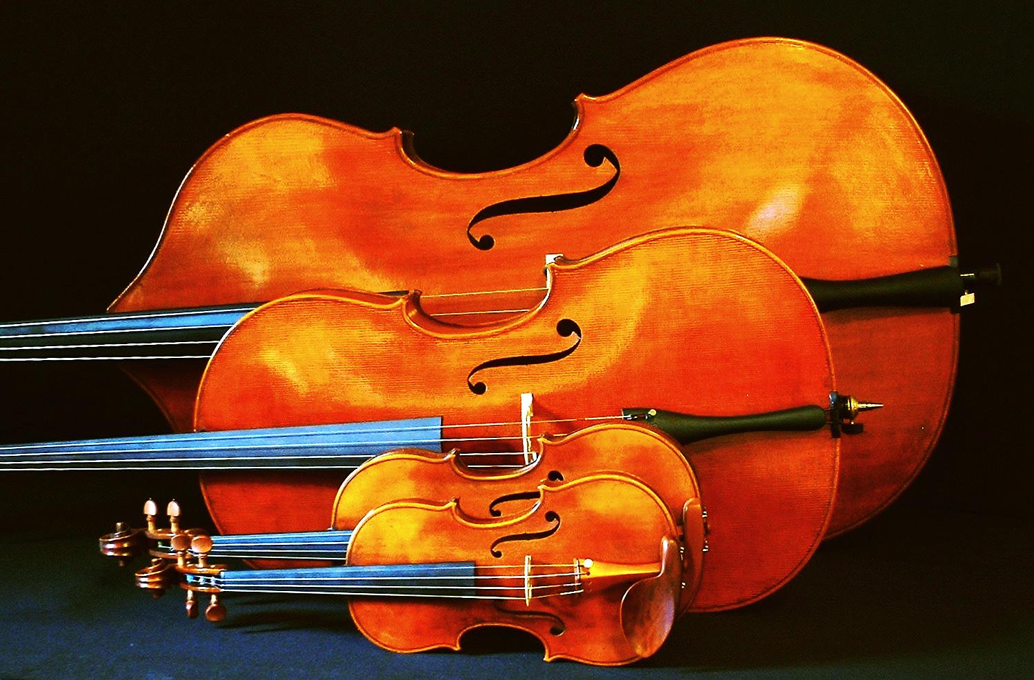 South County Community String Orchestra Winter Concert